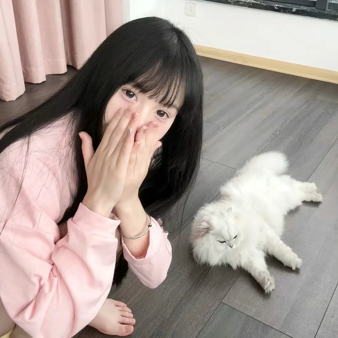 秃鹰之城